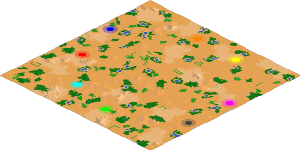 Game map