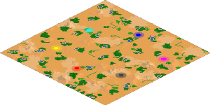 Game map